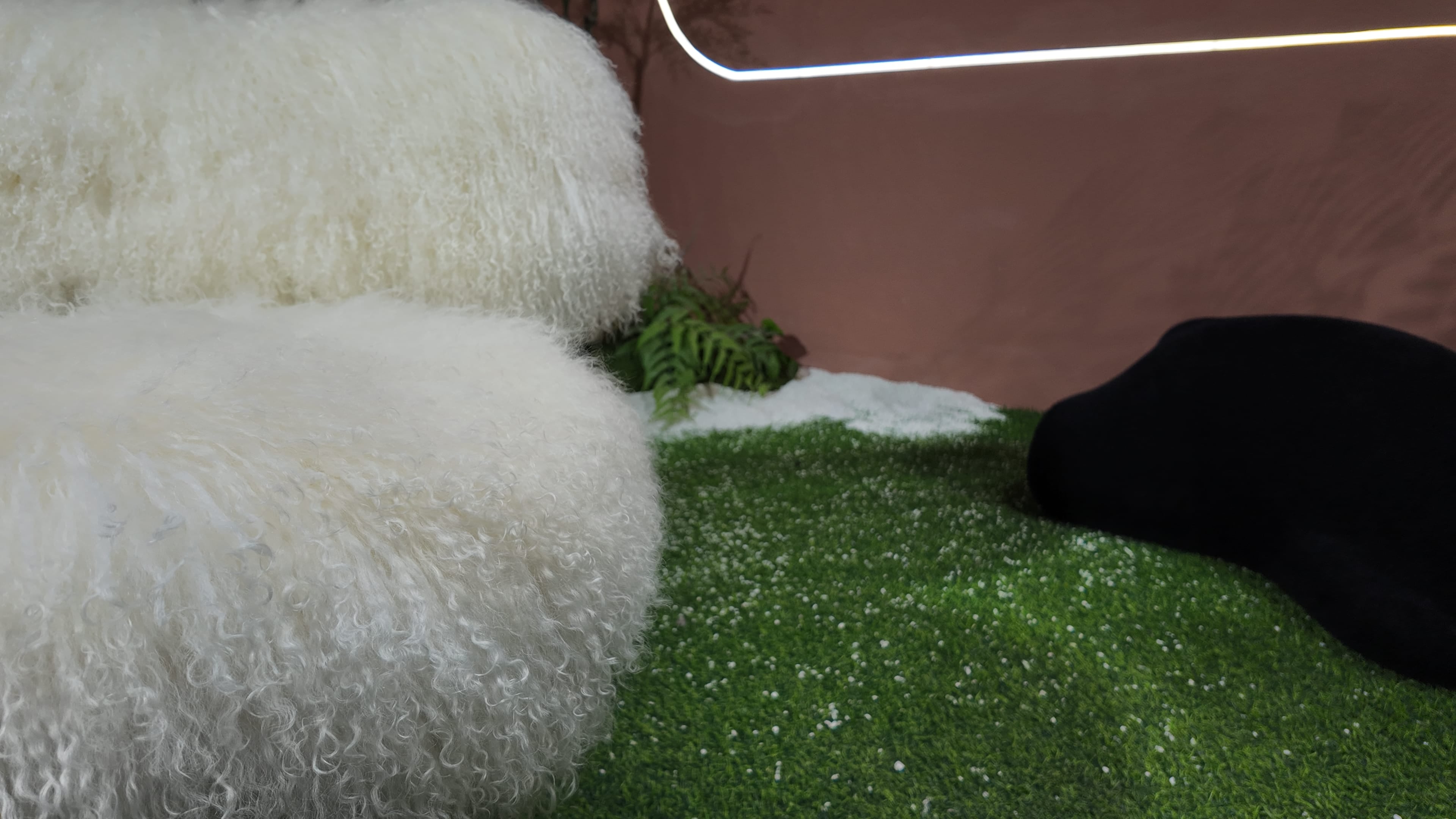 Fauteuil en fourrure longue bouclée blanche – Mouton Blanc